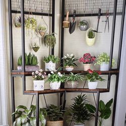 Corner Plant Stand 