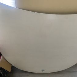 Tesla Hood 