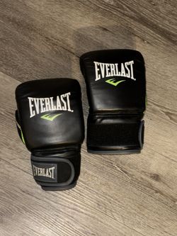 Everlast Boxing Set – Gloves + Punching Bag