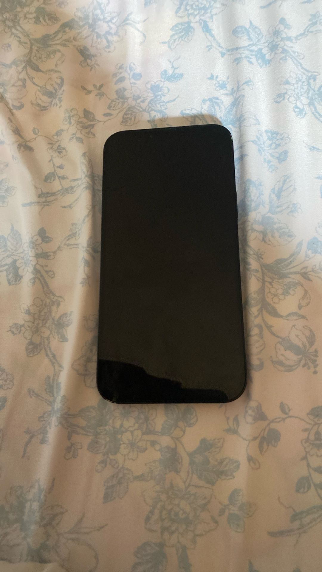 Iphone 13 (Used)