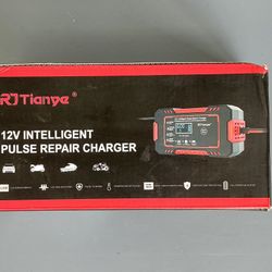 Intelligent Pulse Repair Charger 12V  for Cars Boats Motorcycle RJ Tianye Red