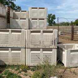 Fruit Bins
