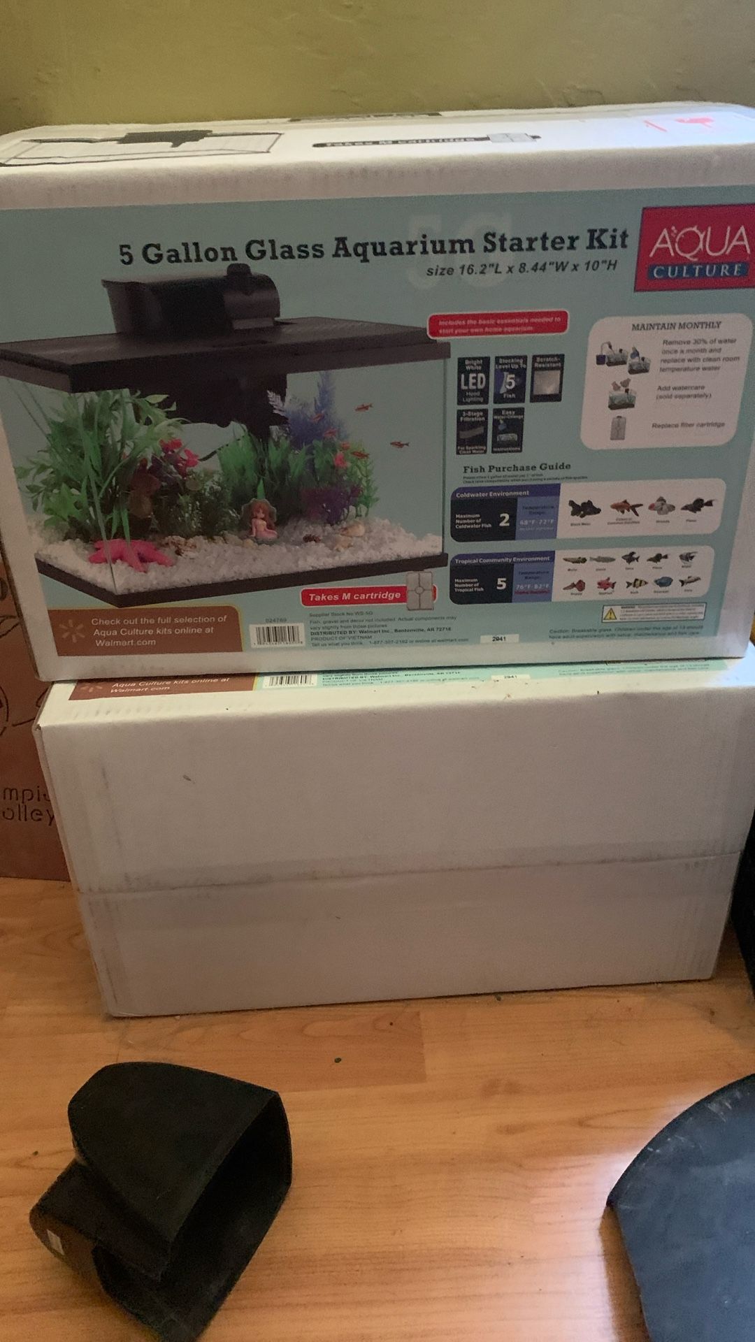 New Fish Tank