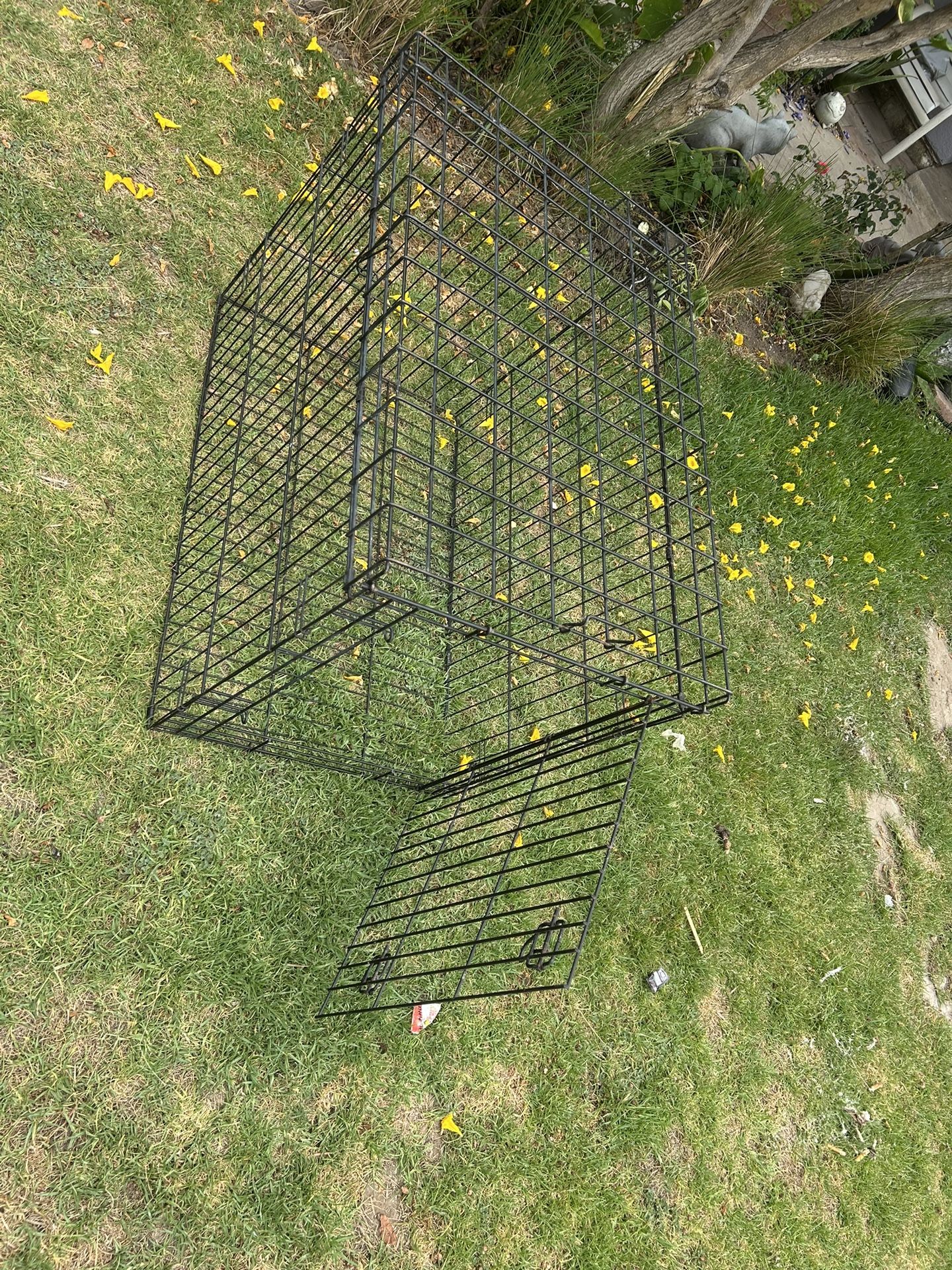 Dog Cage