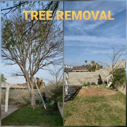 Stump grinding messge, tree messge