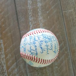 Autographed baseball 25 signatures. A few FRANK HOWARD, WALLACE JOHNSON, RICH ALBERT, JEFF COX, MANY MORE