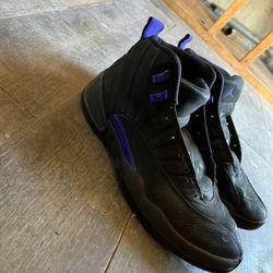 Retro 12s Black And Purple Concords