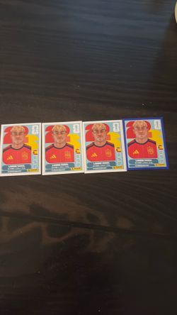 Panini World Cup stickers