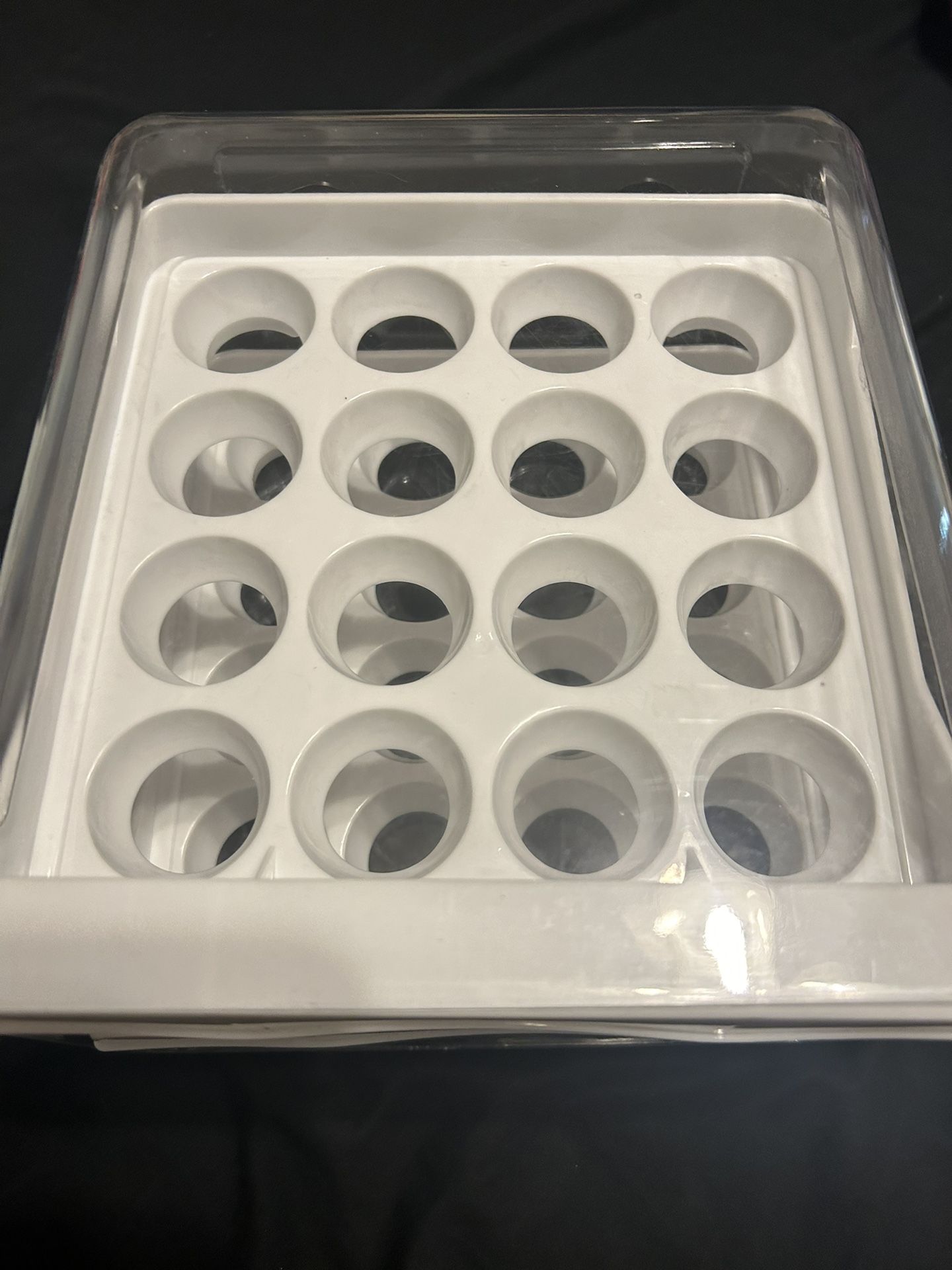 Egg Storage