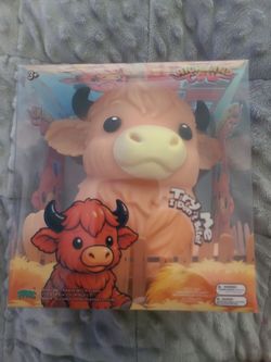 Highland cow