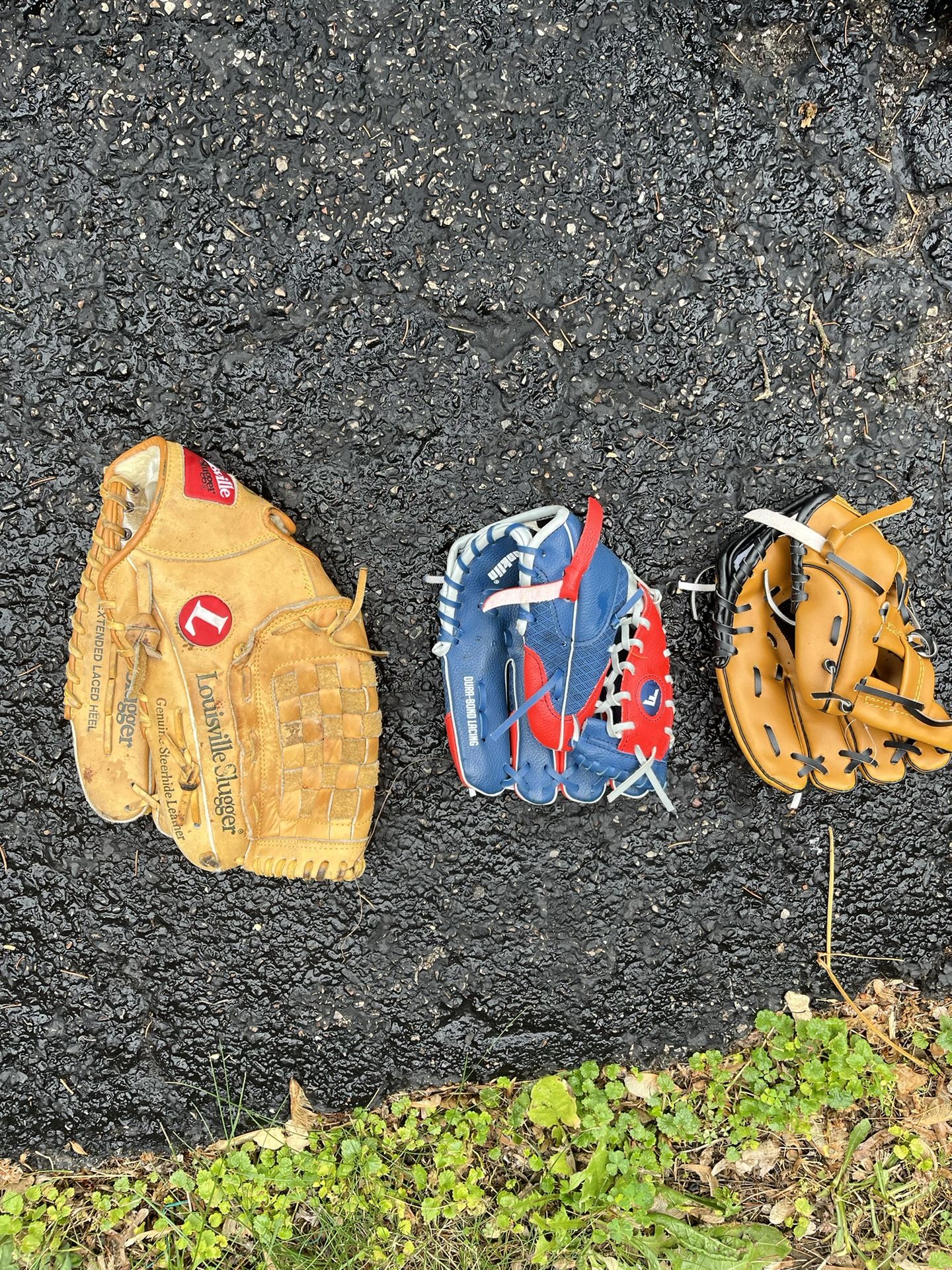 Baseball Globes & Bat