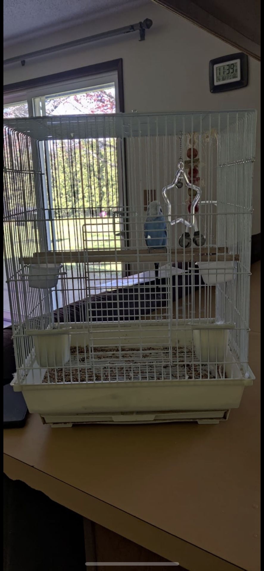 Cage