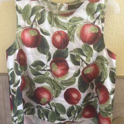 Used Fruit 🍎 shirt for Summer $10