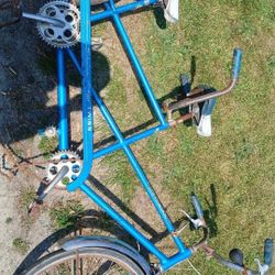 Schwinn Tandem Bike