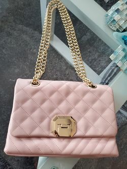 Pink Aldo purse