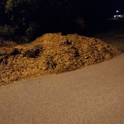 Looking For Someone For Labor