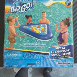 Pong Pool Game 