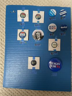 Campaign Pins
