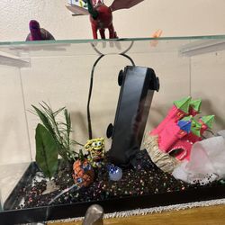 3 Gallon Fish Tank + Filter