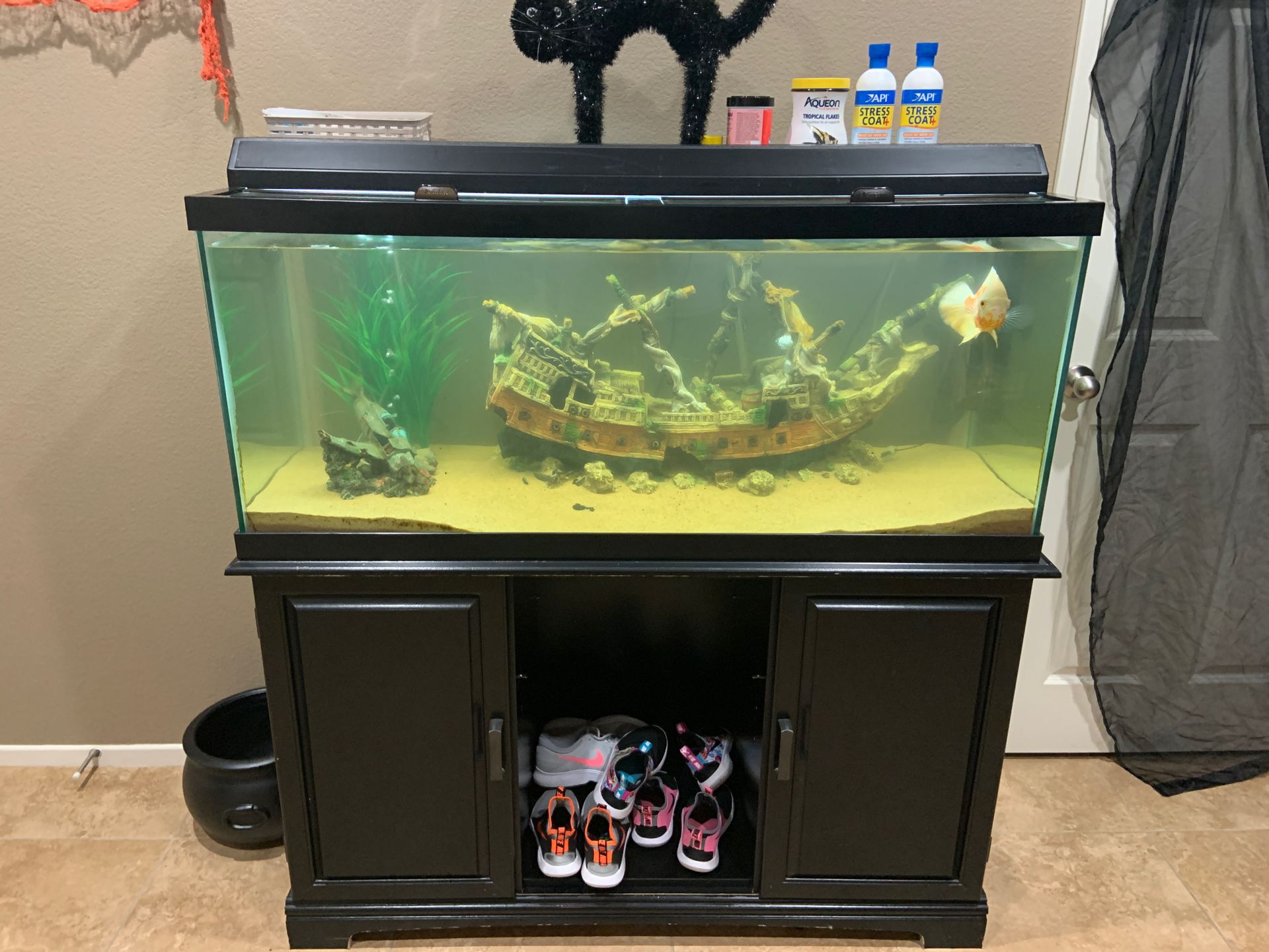 75 gal fish tank/stand