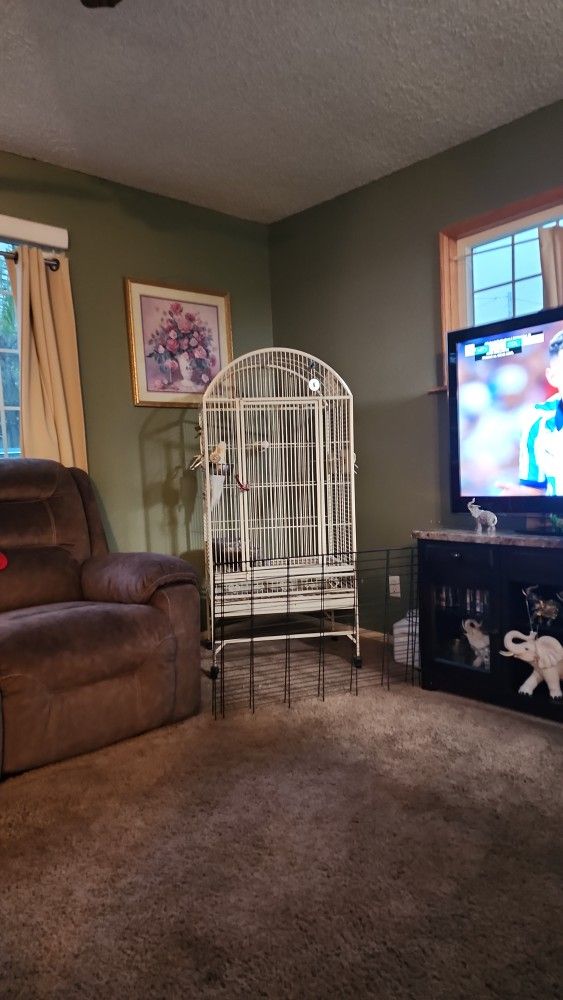 Must Rehome Cage