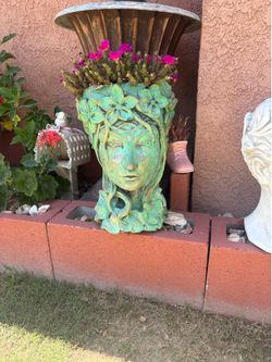 Head Pot with succulents plants