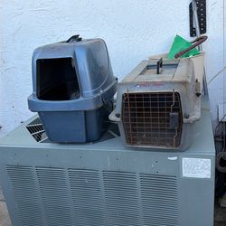 Pets Taxi And Toilet