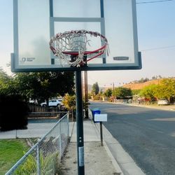 Adjustable Basketball Hoop