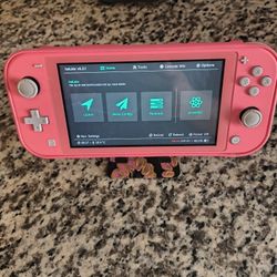 Nintendo Switch Lite 