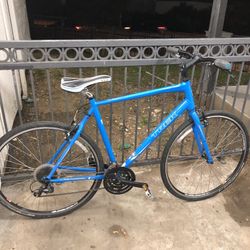 Trek Bike 
