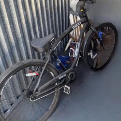 Genesis Onyx 29" Cruiser Bicycle!