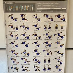 Laminated Poster EXERCISE BALL Workout for Women 19”x27”