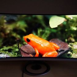 ASUS MX34VQ 34in Curved Gaming monitor 100HZ 4k
