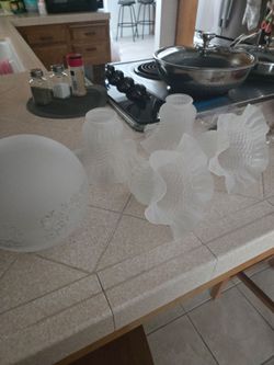 Replacement fan globes