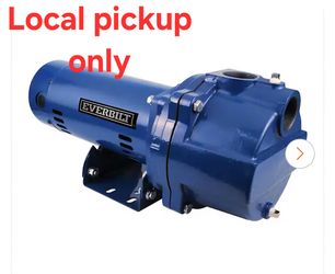 ➿️ Everbilt 1-1/2 HP Cast Iron Lawn Irrigation Pump115/220dual V I