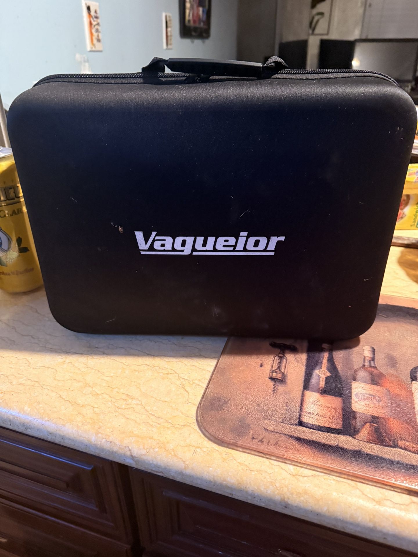 Vagueior Cordless Pressure Washer Cleaning And Watering (black and blue)