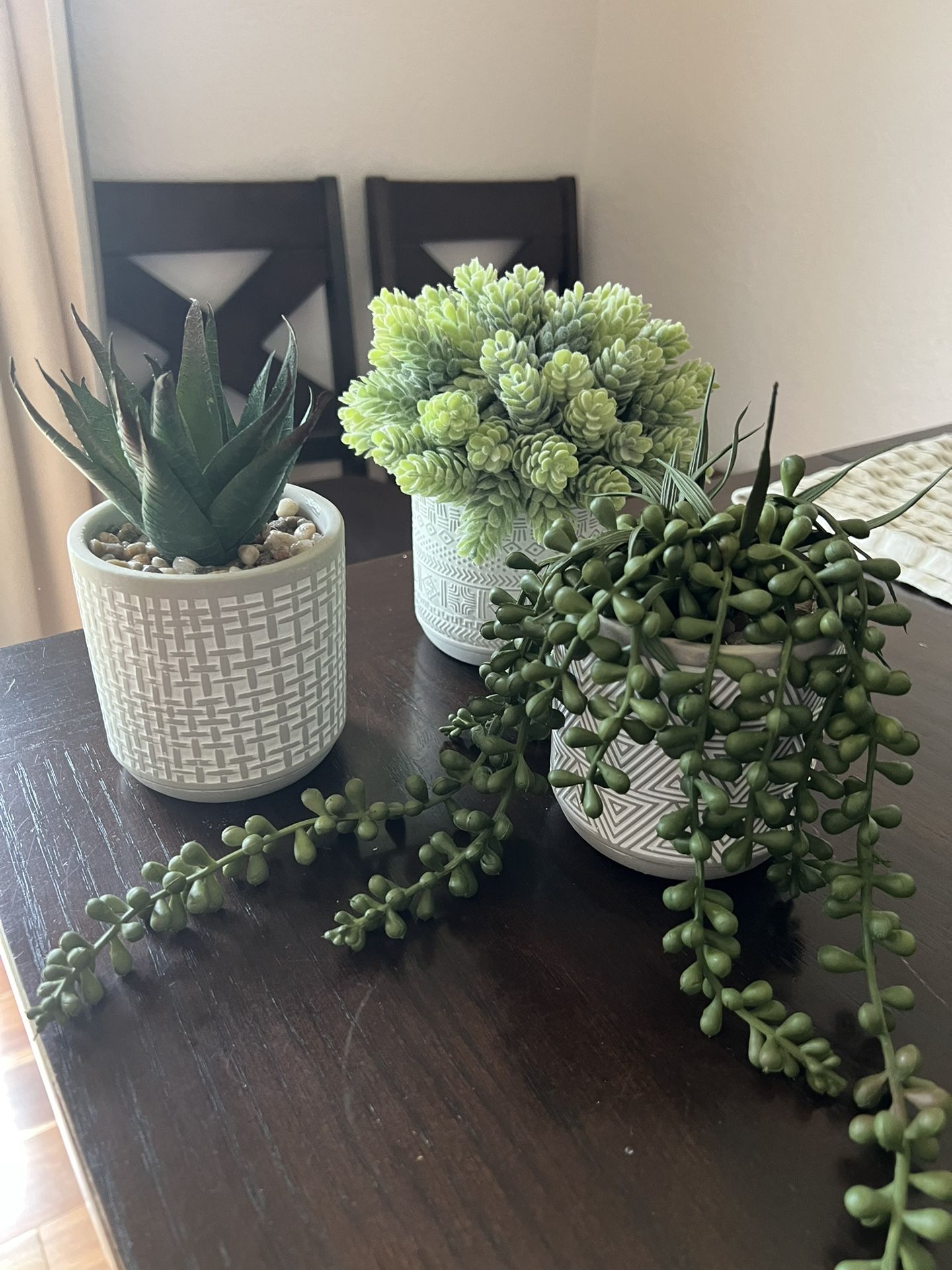 Free Fake Plants (pending)