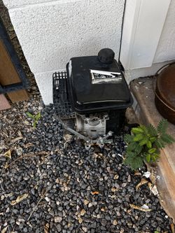 100cc Coleman Minibike Engine