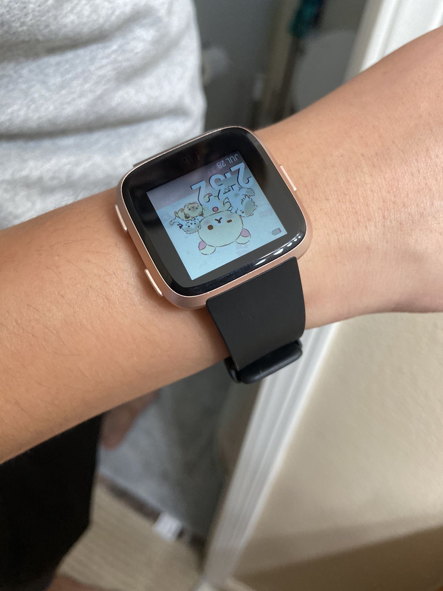 Fitbit Versa Special Edition Smart Watch