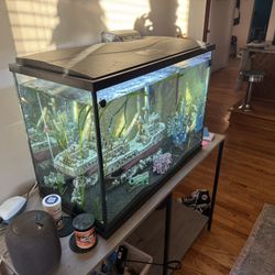37 Gallon Fish Tank