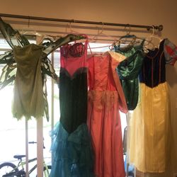 Disney Inspired princess Adult Costumes