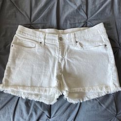Levi Shorts. Read The Description! 