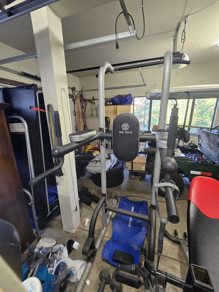 Roman Chair Pull Up Station