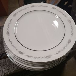 Dinner Plates