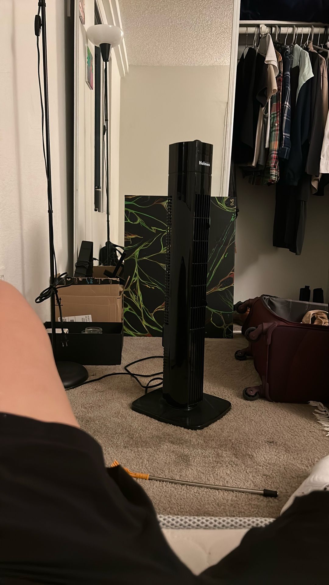 Fan