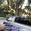 Albertoo