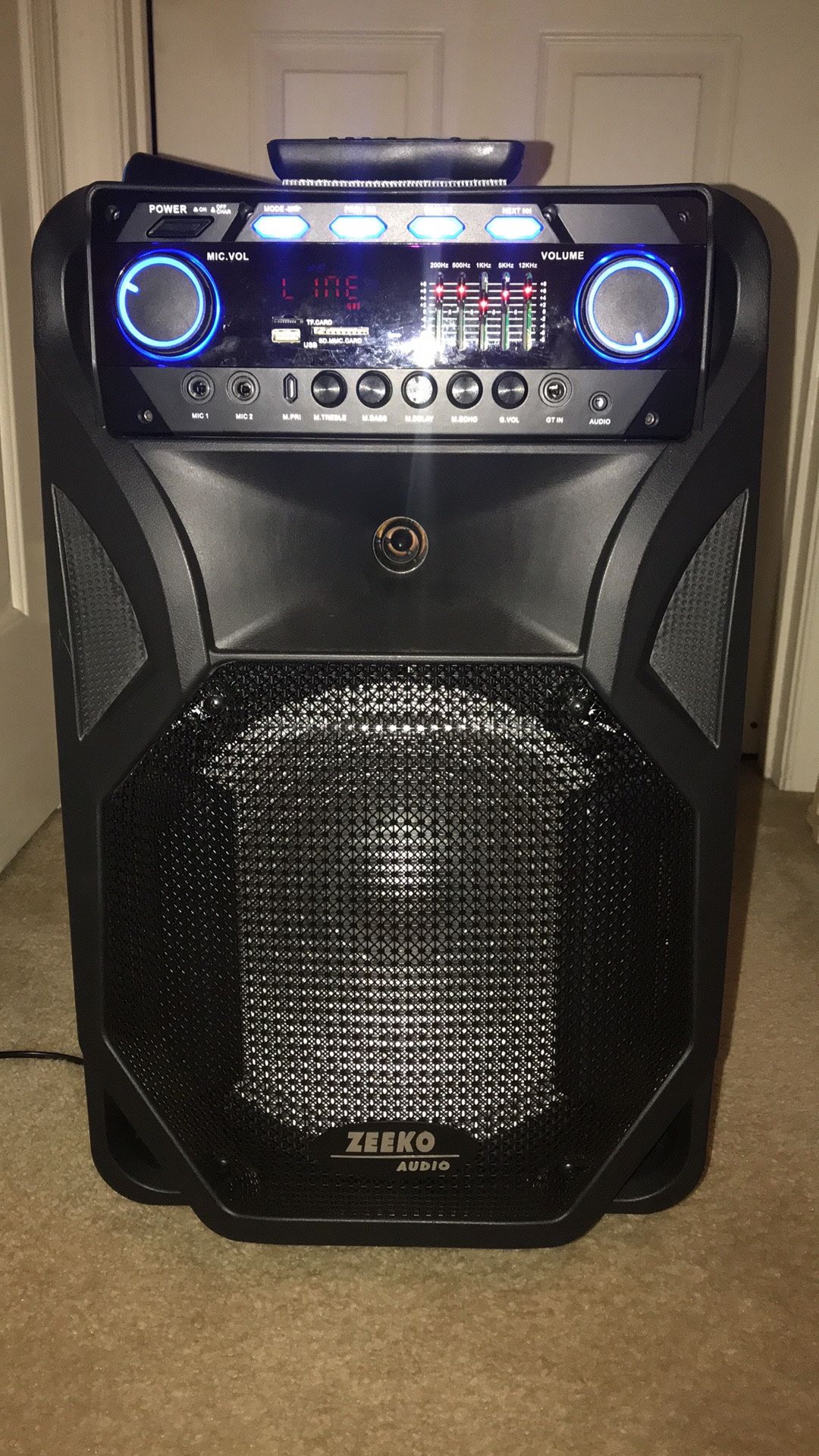 Portable Bluetooth PA Speaker with Wireless microphone