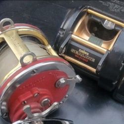 Penn And Dawia Reels 