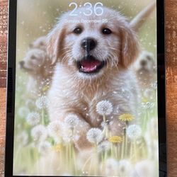 IPAD 7th Generation 15.6.1 Model Number A2197 128GB