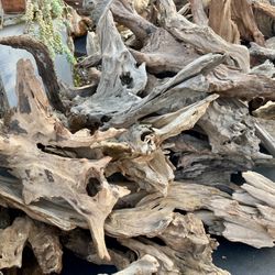 Driftwood Terrarium Aquarium Wood